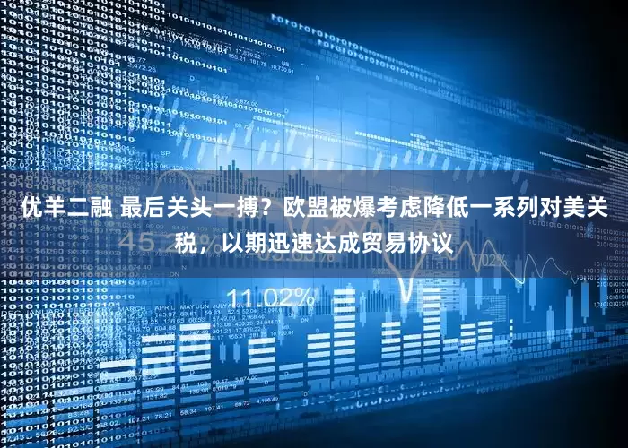 优羊二融 最后关头一搏？欧盟被爆考虑降低一系列对美关税，以期迅速达成贸易协议