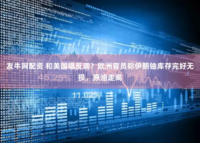 友牛网配资 和美国唱反调？欧洲官员称伊朗铀库存完好无损，原油走高