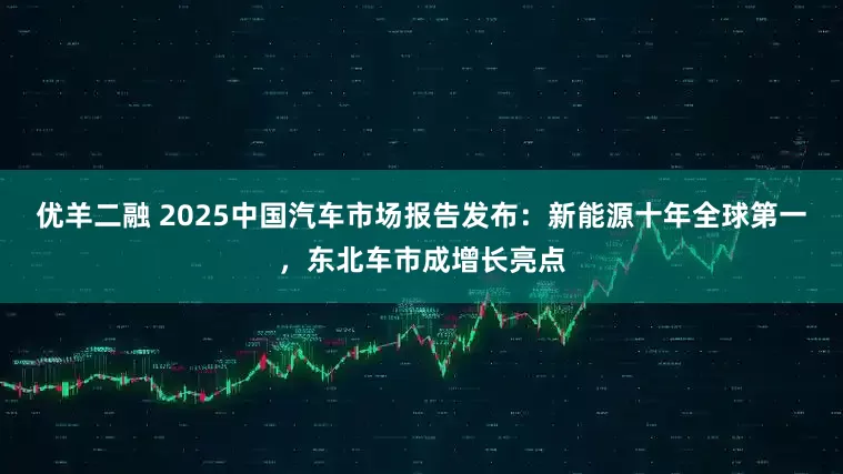 优羊二融 2025中国汽车市场报告发布：新能源十年全球第一，东北车市成增长亮点