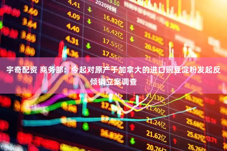 宇奇配资 商务部：今起对原产于加拿大的进口豌豆淀粉发起反倾销立案调查