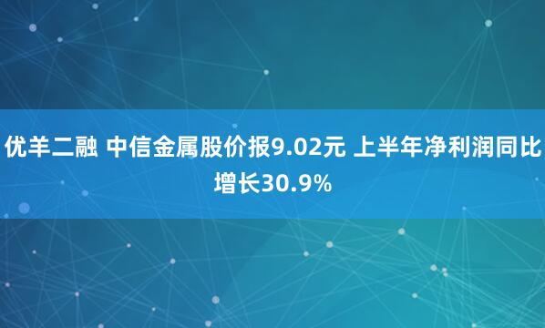 优羊二融 中信金属股价报9.02元 上半年净利润同比增长30.9%
